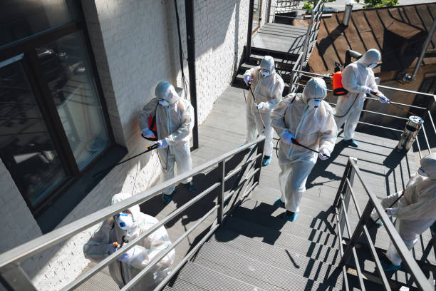 Best Black Mold Removal  in Inwood, WV