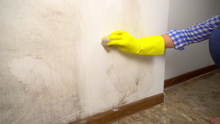 Best Post-Construction Mold Inspection  in Inwood, WV