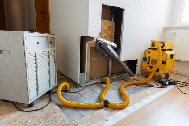Best Commercial Mold Inspection  in Inwood, WV